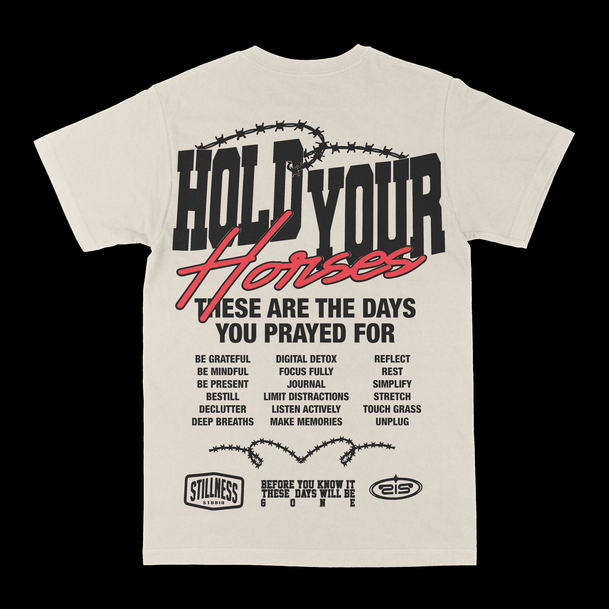 Hold Your Horses Graphic Tee