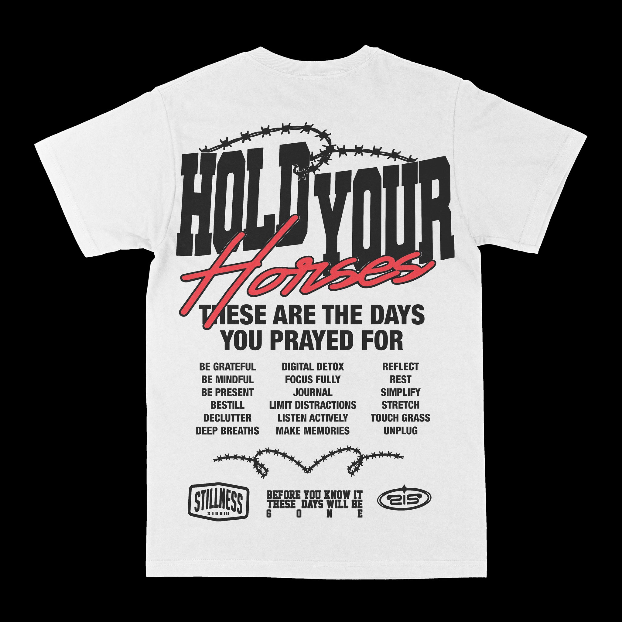 Hold Your Horses Graphic Tee